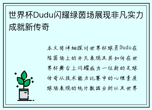 世界杯Dudu闪耀绿茵场展现非凡实力成就新传奇